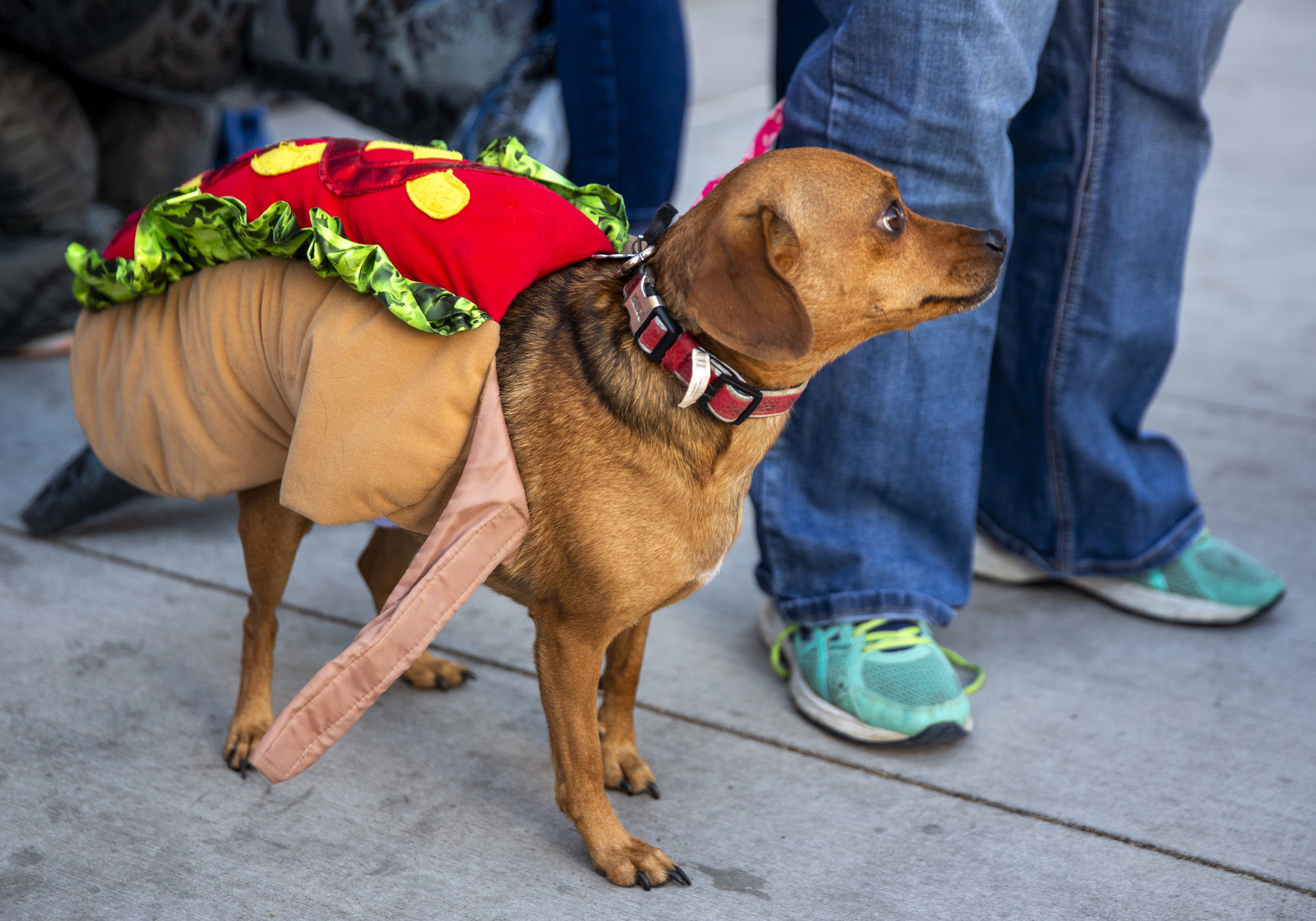 Trick or Treat on Main Street